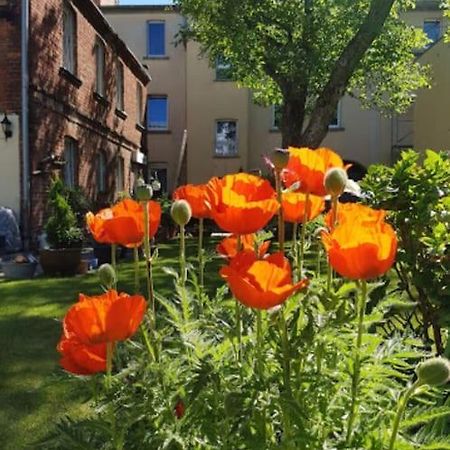 City Appartement Mit Garten, Zentral Und Trotzdem Ruhig Cottbus Bagian luar foto