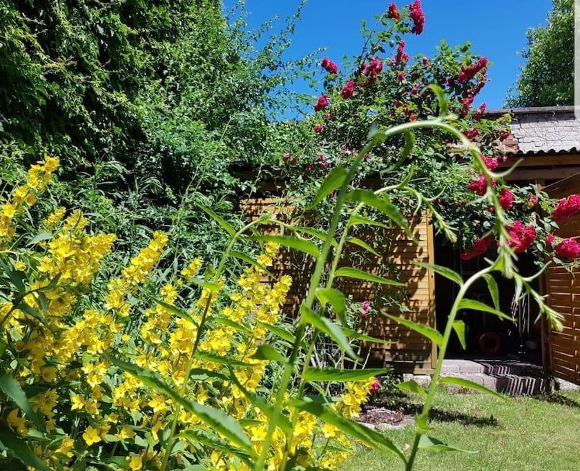 City Appartement Mit Garten, Zentral Und Trotzdem Ruhig Cottbus Bagian luar foto
