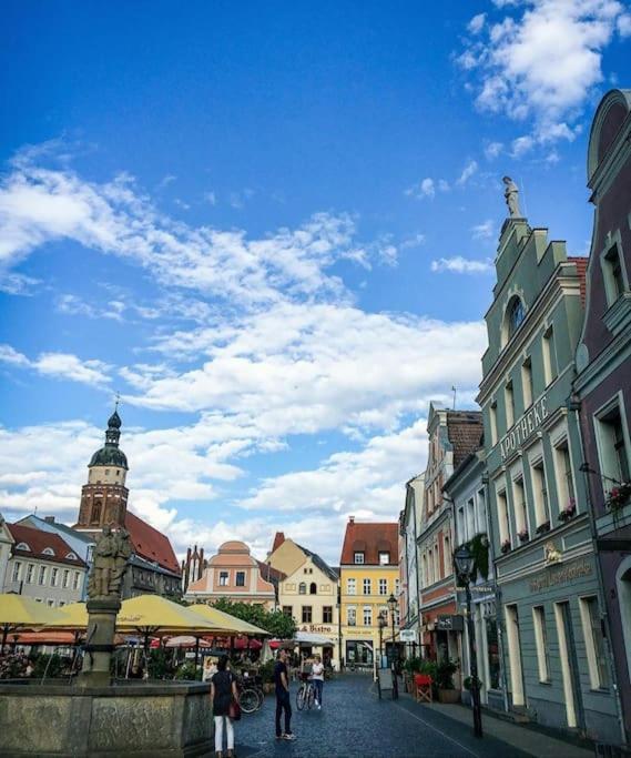 City Appartement Mit Garten, Zentral Und Trotzdem Ruhig Cottbus Bagian luar foto