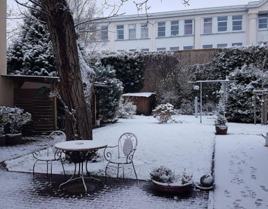 City Appartement Mit Garten, Zentral Und Trotzdem Ruhig Cottbus Bagian luar foto