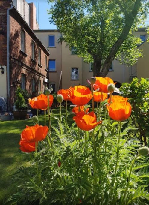 City Appartement Mit Garten, Zentral Und Trotzdem Ruhig Cottbus Bagian luar foto